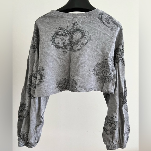 Streetwear Society Grey Dragon Print Cropped Sweater - Picture 1 of 4